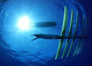 Liquid Robotics submersible