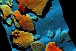 Sonardyne 3D point cloud image