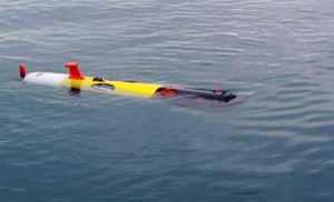 Remus 100 AUV in Operation