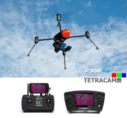 Tetracam