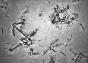 Fugro ROV footage