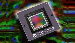 ON Semiconductor KAE-08152 EMCCD image sensor