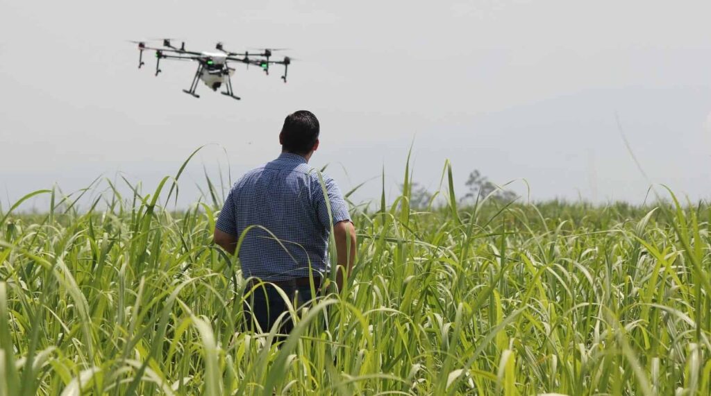 UAVs for Precision Agriculture