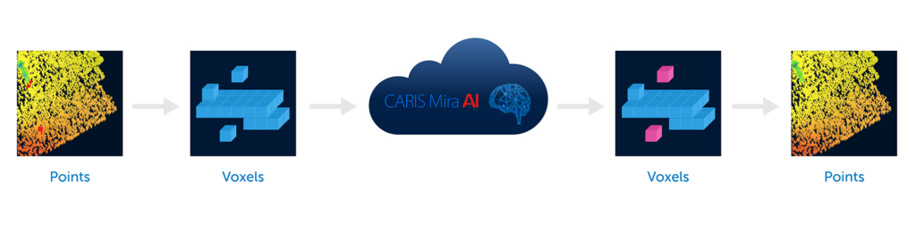 How CARIS Mira AI software works