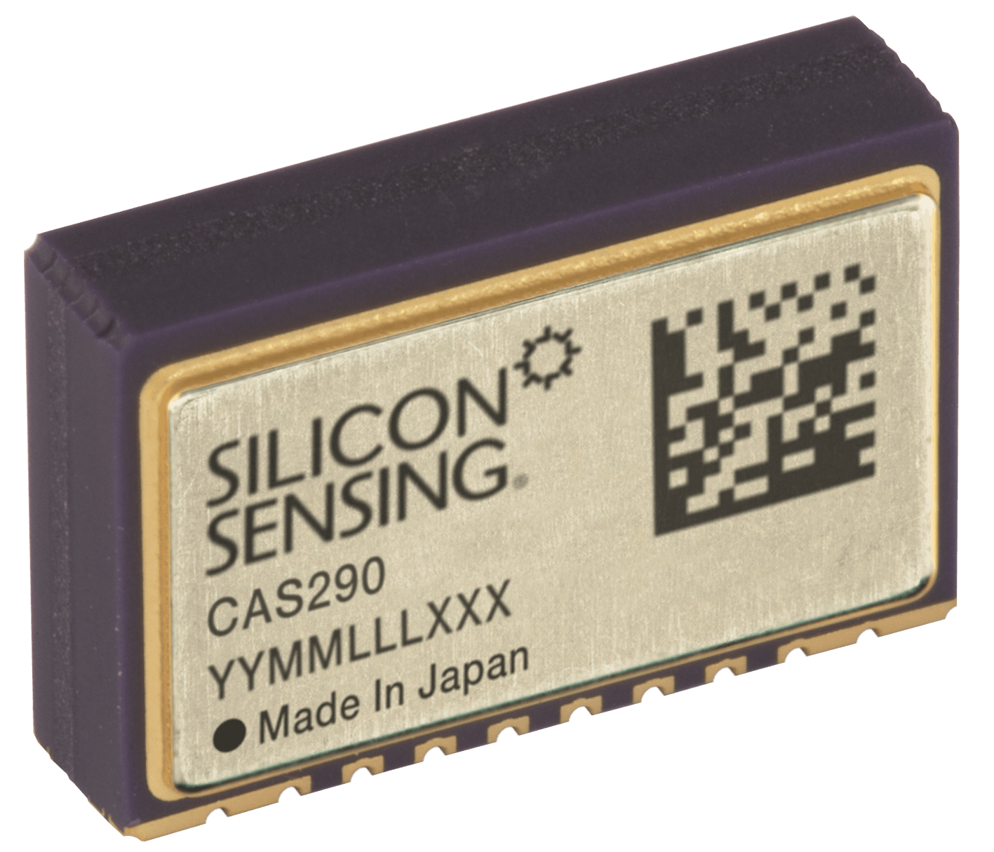 cas290 Dual-Axis MEMS Accelerometer