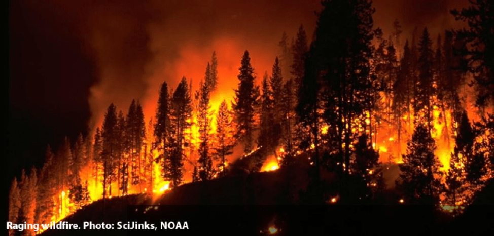 drone Wildfire Observation