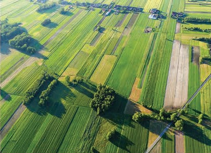 UAV cameras for Precision Agriculture