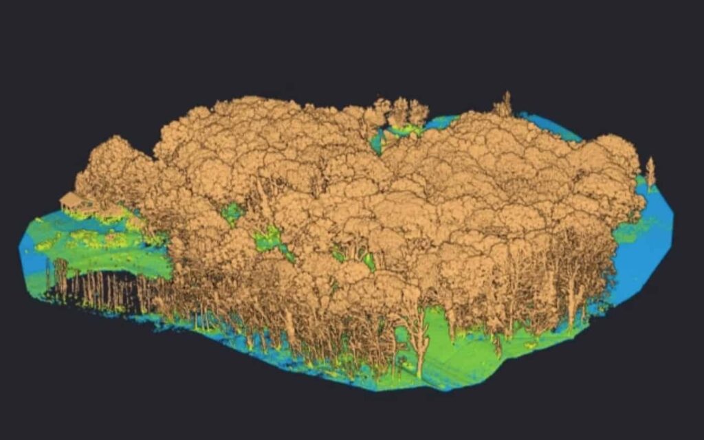 forestry LiDAR