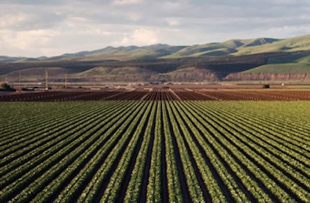 precision agriculture