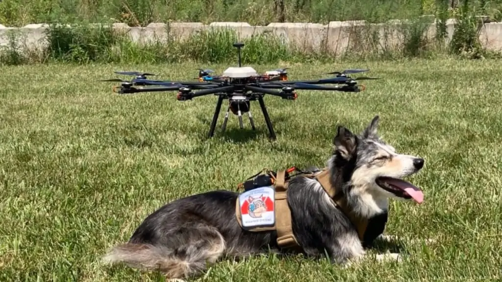 UAV and Canine Search and Rescue