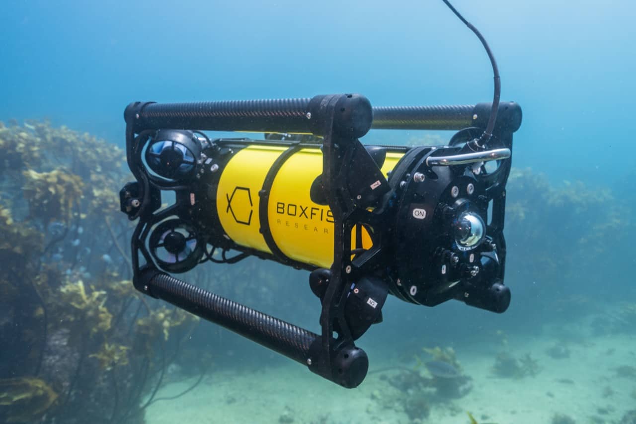 Boxfish Expands to Bring ROVs to Europe | UST