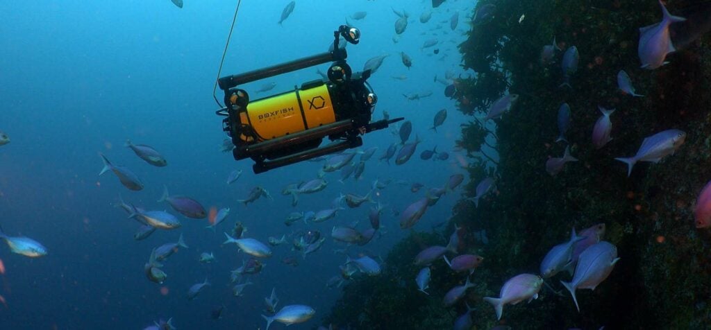 Cinematography Underwater rov