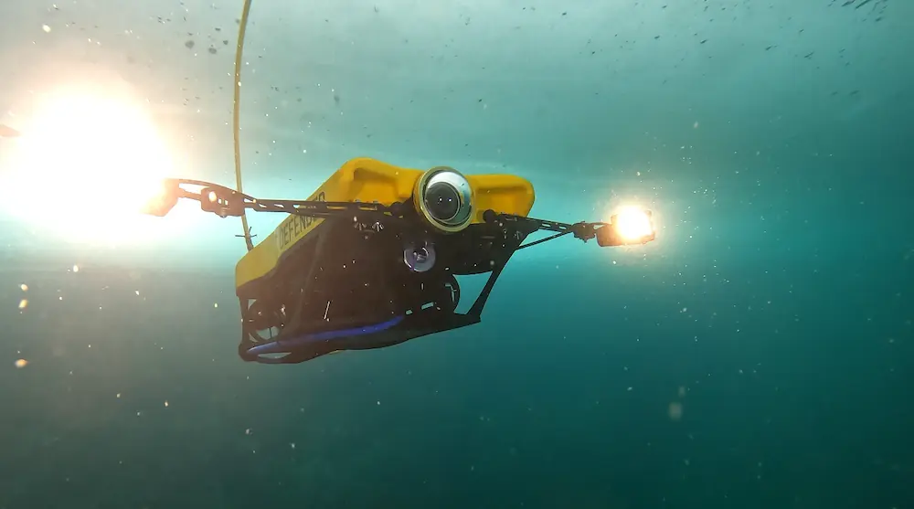 Smart ROV cameras