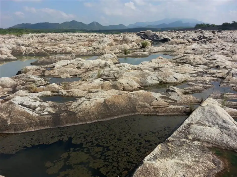 OceanAlpha USV bedrock survey 2