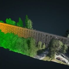 lidar forestry survey