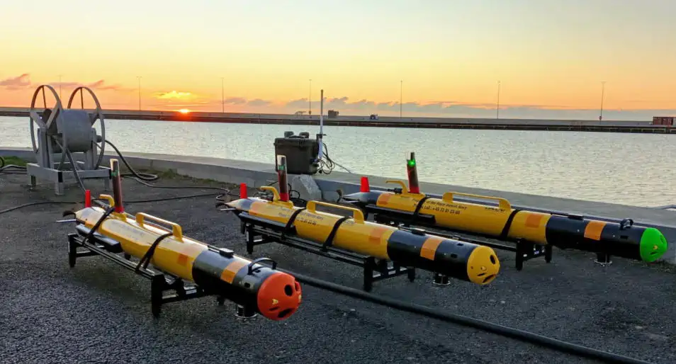 Danish Navy AUVs