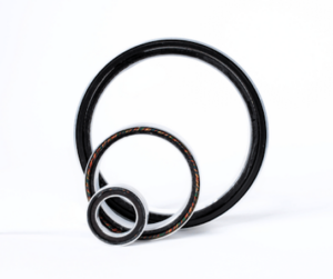 SlimTorq Motors