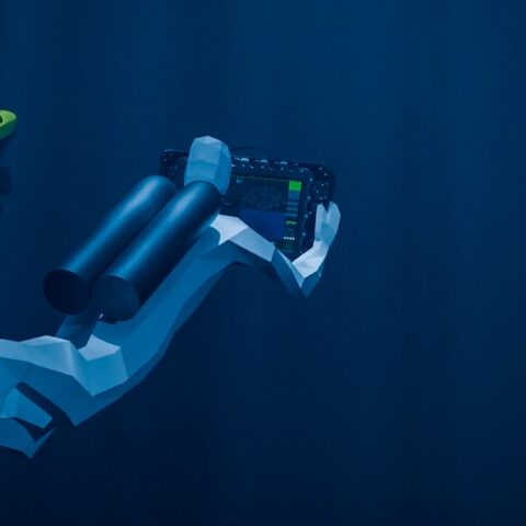 Bayonet Underwater Controller (BUC)
