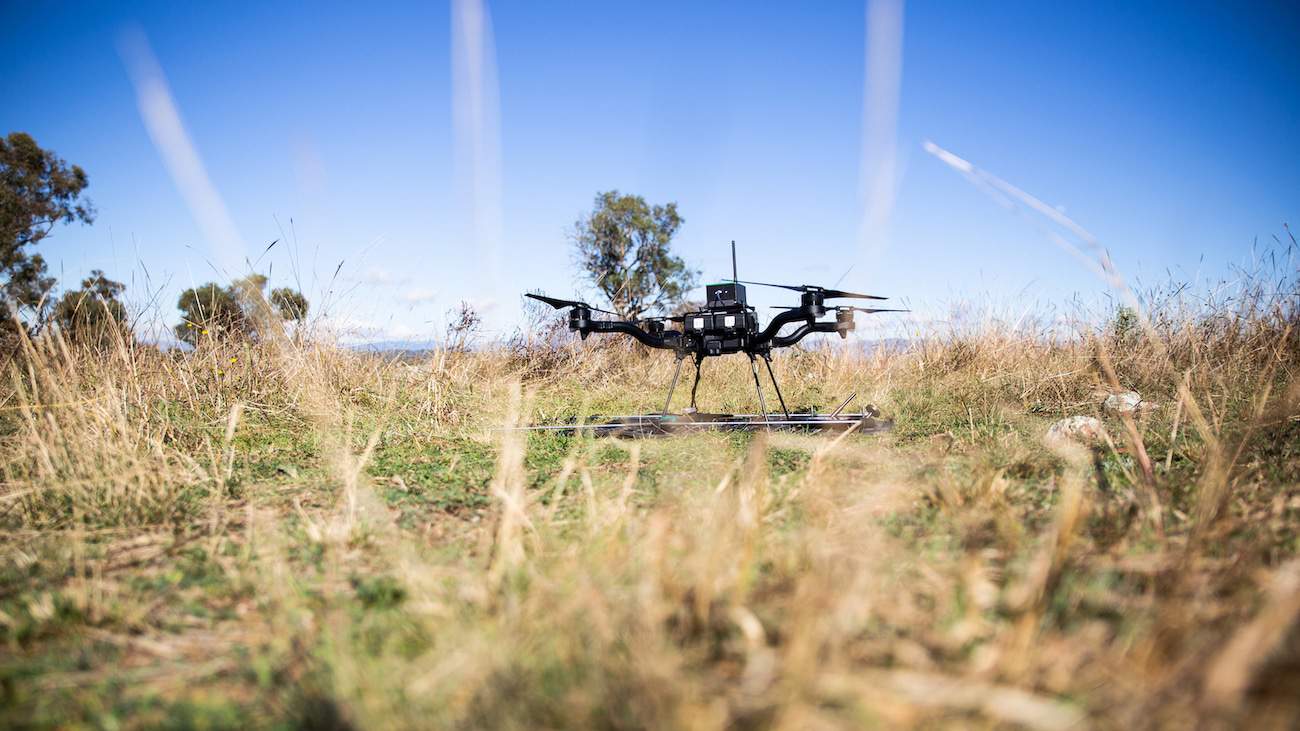 Animal Tracking With Radio Telemetry Drone Technology UST animal-tracking-with-radio-telemetry-drone-technology-ust
