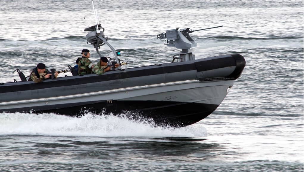 Remote Controlled Weapon Station for USVs