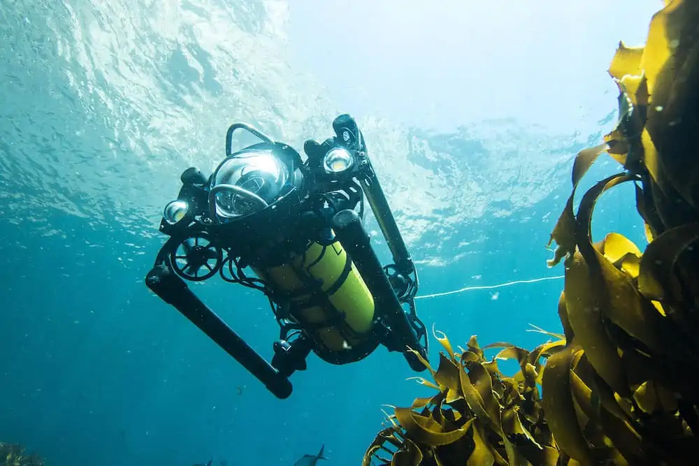 boxfish-rov-autonomous-capability-1