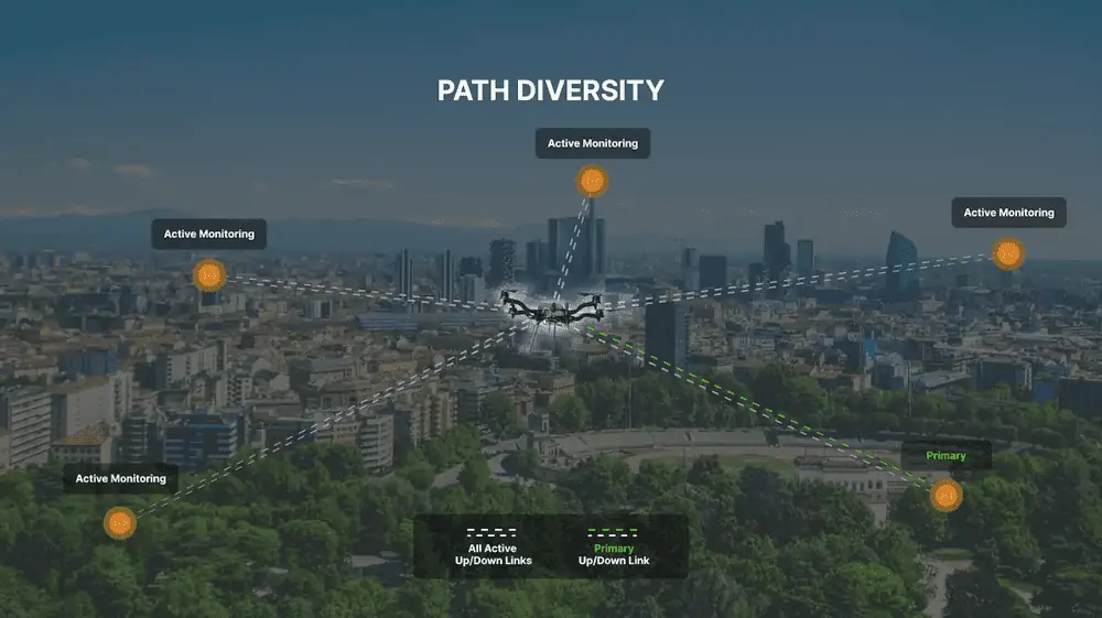 path diversity