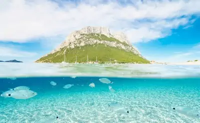 underwater photography