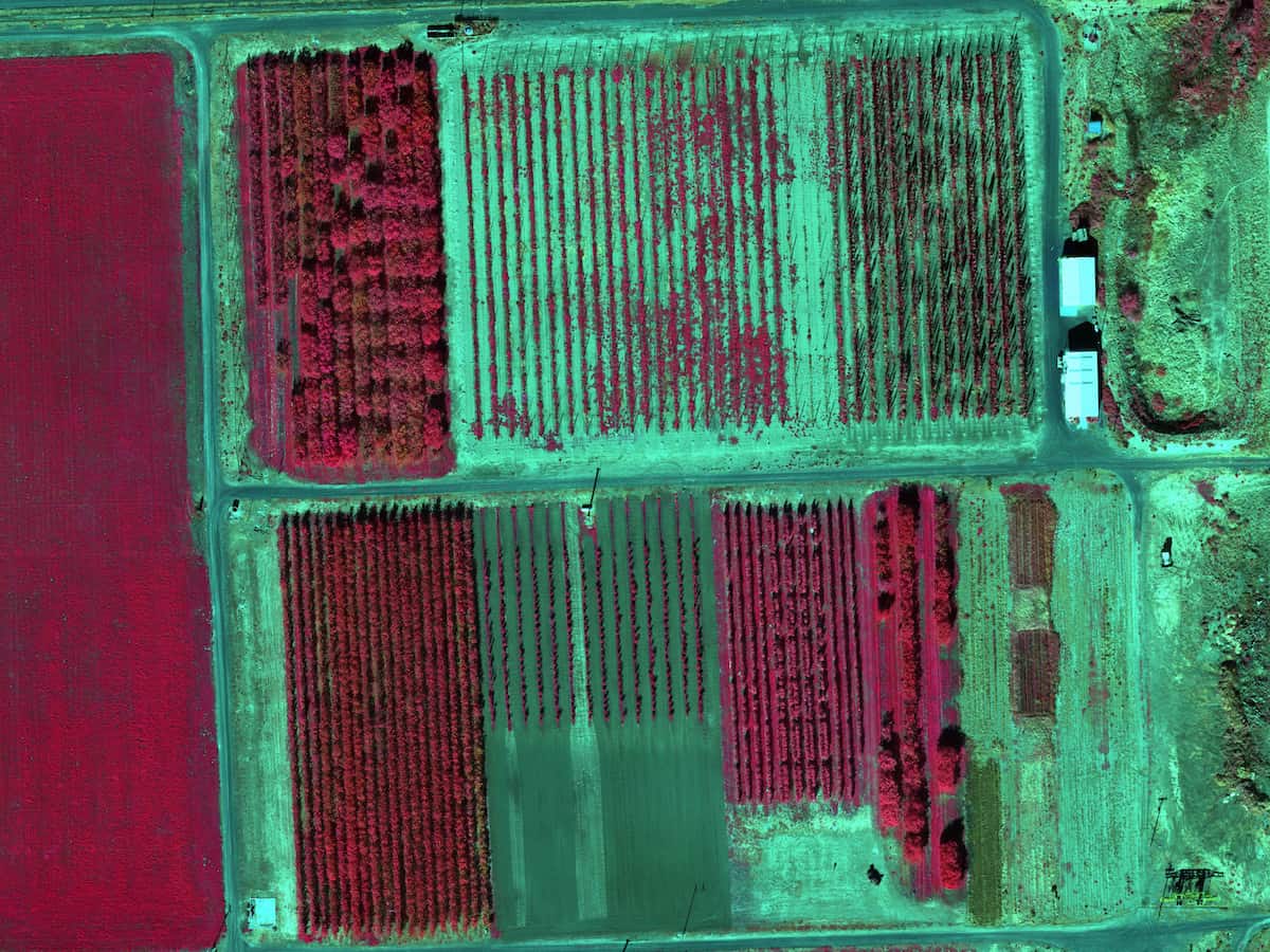 Precision agriculture drone