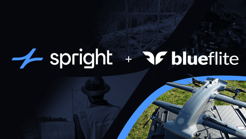 Spright-blueflite