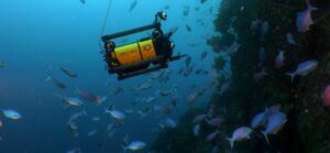 Boxfish Luna – Cinematography Underwater Drone