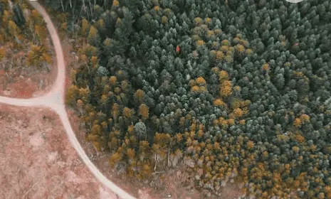 The use of Drones in Forestry & Land Management