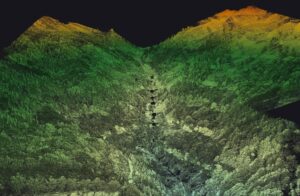 Point cloud of the study area with deciduous and coniferous vegetation