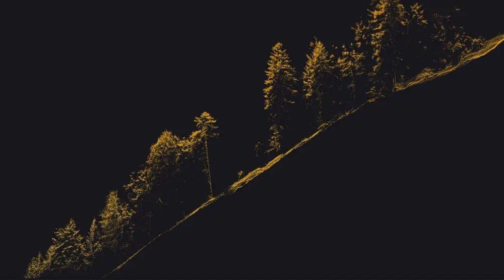 Vertical slice of the point cloud with highly accurate DTM data.