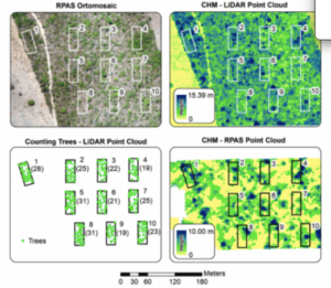 Monitoring the Brazilian Savanna with LiDAR & RBG Sensors - images