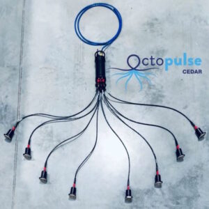 Octopulse subsea imaging sensor