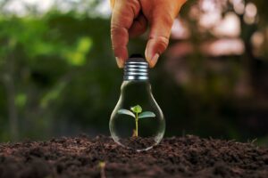 Plant sprouting within lightbulb in soil