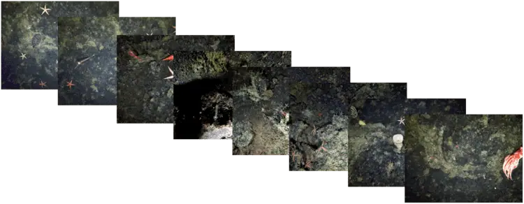 Underwater Imaging & Remote Operations For Subsea Inspection