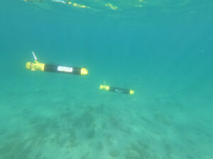Science ​AUVs