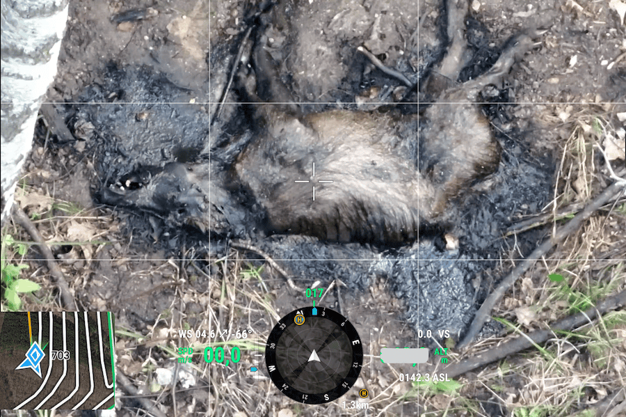 drone Wildlife Monitoring