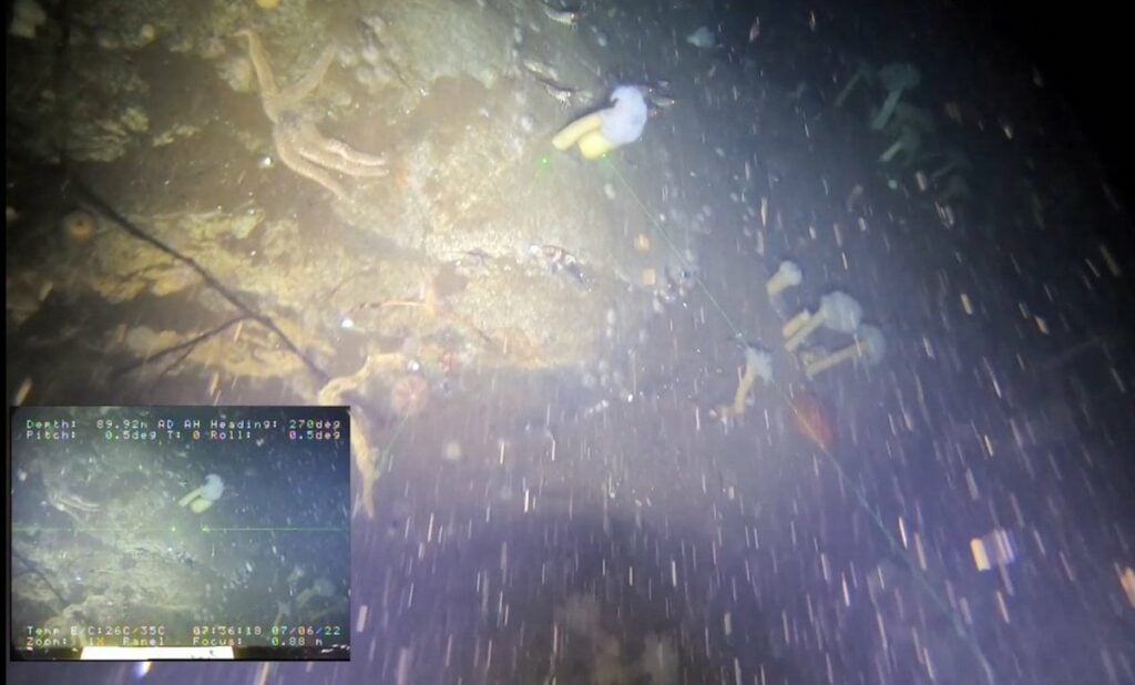 Optimizing Benthic Surveys in Aquaculture Operations with ROVs