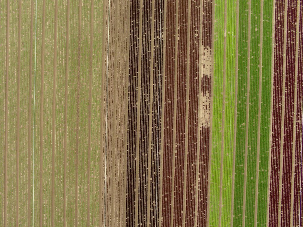 Closeup view captured by the 20 MP RGB camera on the 6X Multispectral