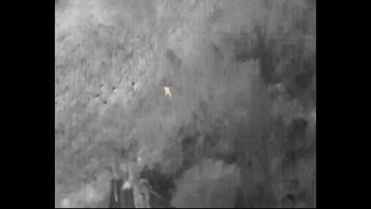 Person under the bush IR