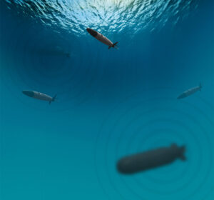 PAM passive acoustic monitoring service