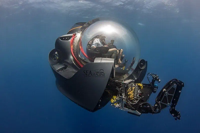 Submersible Captures First Sighting of Prickly Shark in French Polynesia