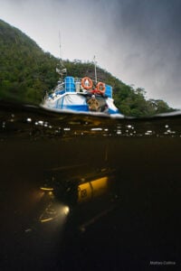 ROV-Powered Discovery: Advancing Mesophotic Reef Research in New Zealand