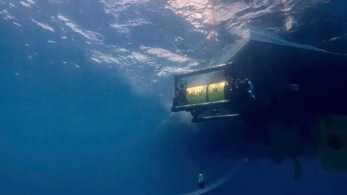 Boxfish AUV
