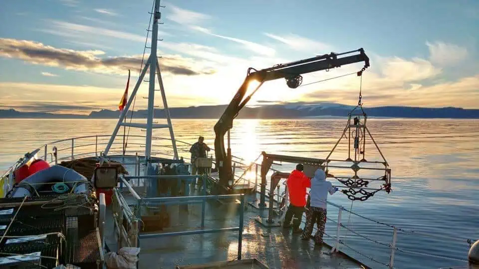 How Autonomous & Programmable Subsea Cameras are Advancing Ocean Research