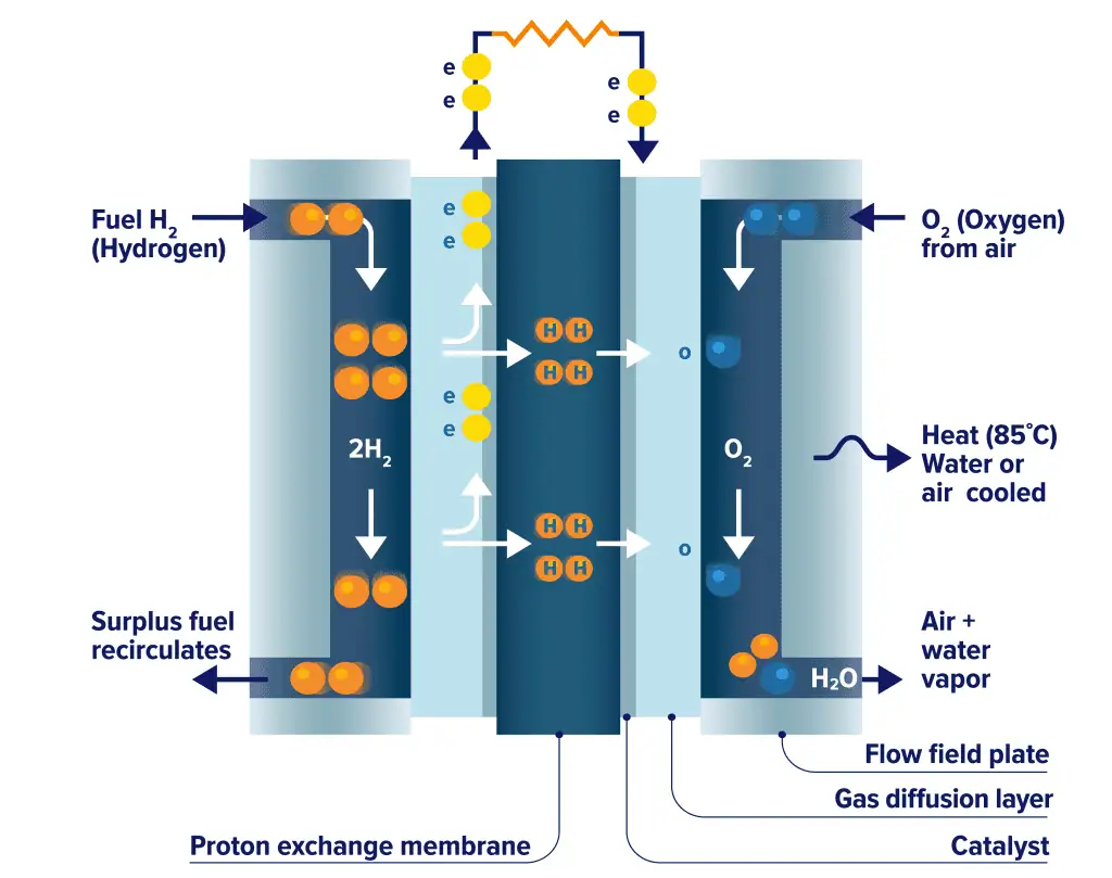 The Science Behind Hydrogen Fuel Cells