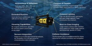 Boxfish AUV features