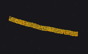 YellowScan Navigator Demonstrates Coastal Reef Mapping Capabilities (4)